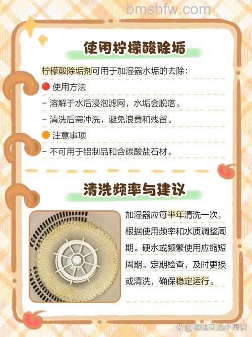 加湿器如何清洗?详细步骤与保养指南