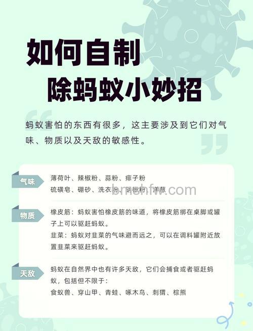 支付宝蚂蚁庄园怎么防止偷吃 蚂蚁庄园防蹭饭方法【详解】