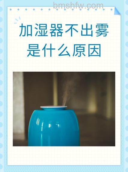 冬暖也需防干燥：新飞加湿器有什么危害与注意事项