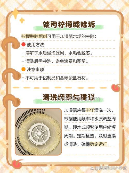 加湿器如何正确清洗?详细步骤与注意事项