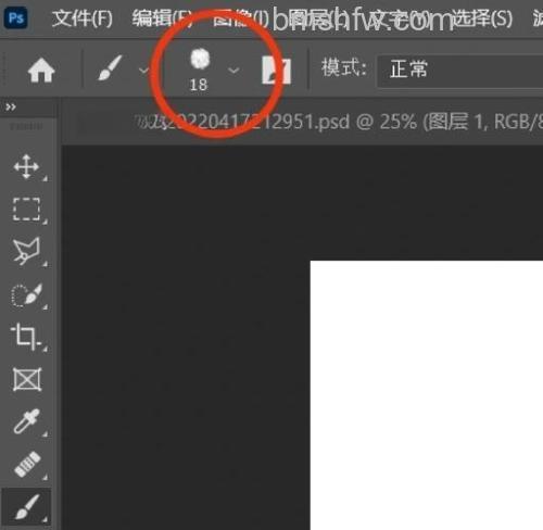PS笔刷怎么导入 PS笔刷导入教程【详解】