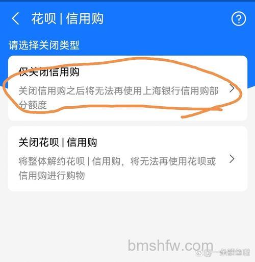 支付宝浦发B2B支付时还没有付款,如何撤消订单号