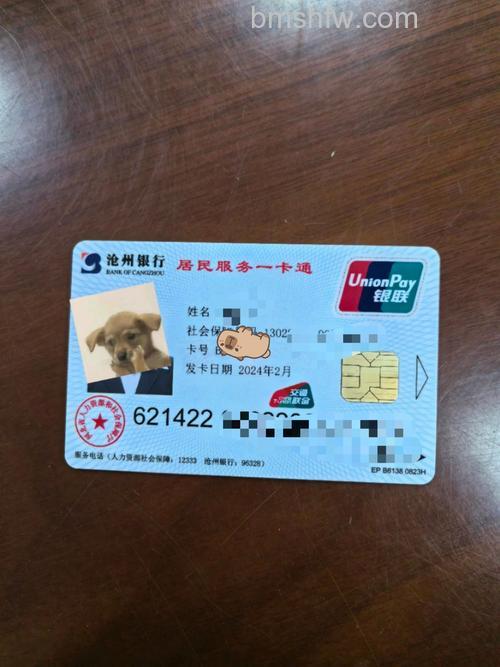 支付宝鄂尔多斯银行储蓄卡卡通是什么