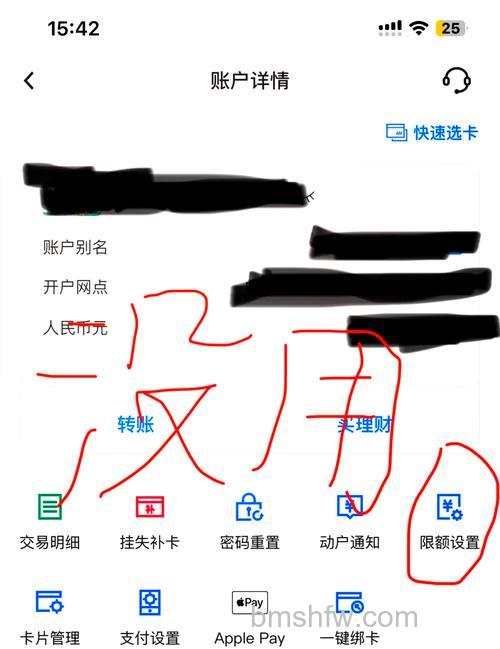 支付宝中国银行储蓄卡快捷支付(含卡通)如何修改限额(65760)