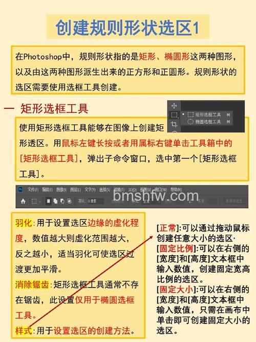 ps建立选区怎么做