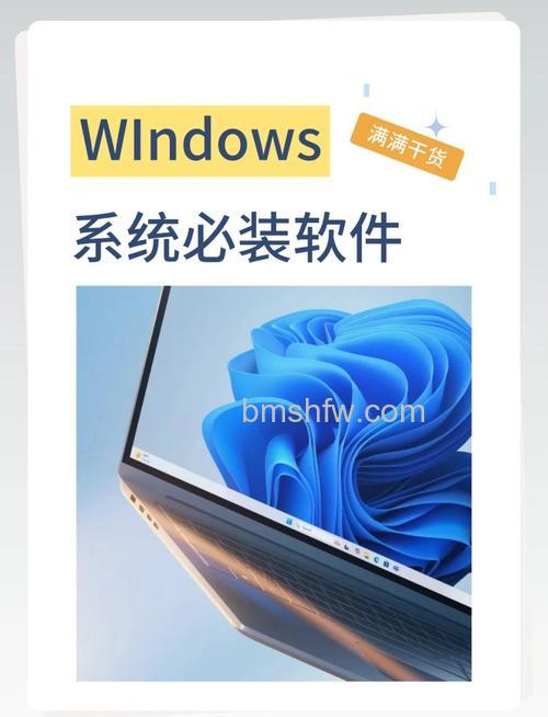 百度云Windows Phone版适合哪些系统