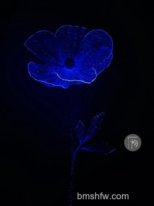 用Photoshop滤镜制作漂亮的发光花朵