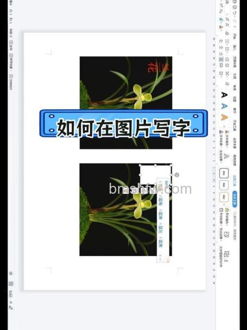如何在Word里添加字体?系统字体安装详细步骤