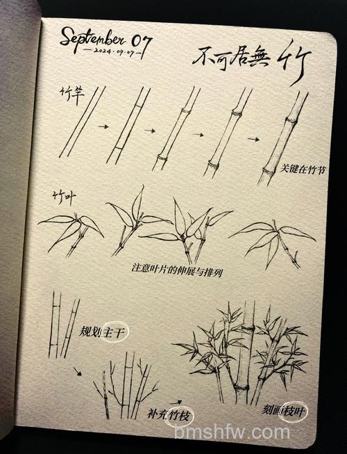 ps中怎么绘制竹节？ps绘制多个竹节的教程