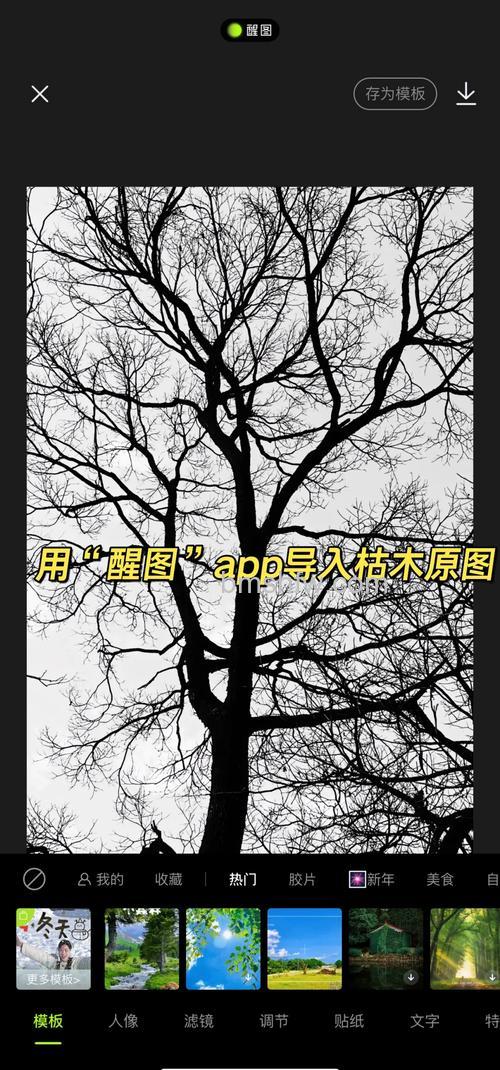 怎么利用Photoshop简单制作森林效果图