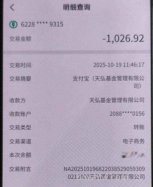 支付宝农行转账到银行卡如何查询明细
