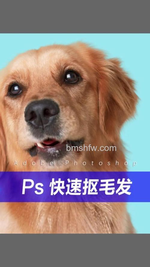 ps如何抠头发