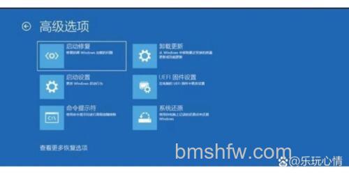 win10怎么进入高级选项 win10进入高级选项方法