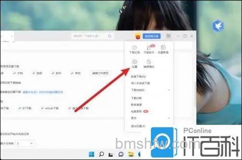 迅雷皮肤主题的更多设置是什么
