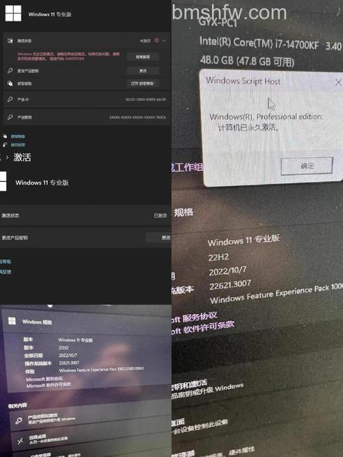 win11excel怎么激活 win11excel激活方法【教程分享】