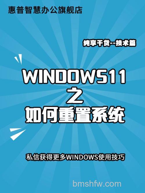 windows11怎么复制文件 windows11复制文件方法介绍【详解】
