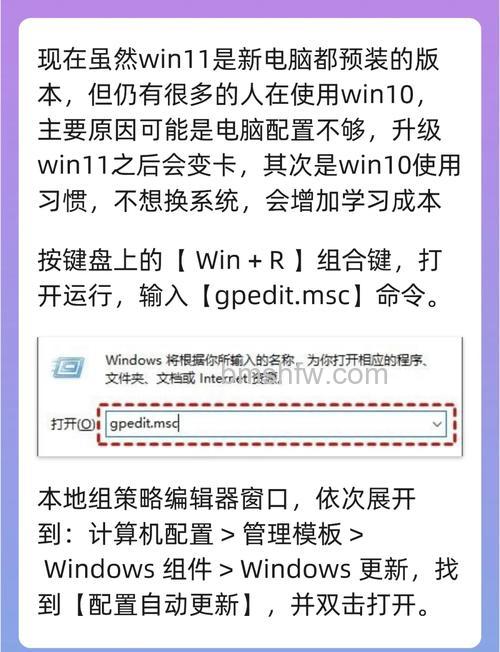 怎么不自动更新windows11 windows11不自动更新方法介绍【详解】