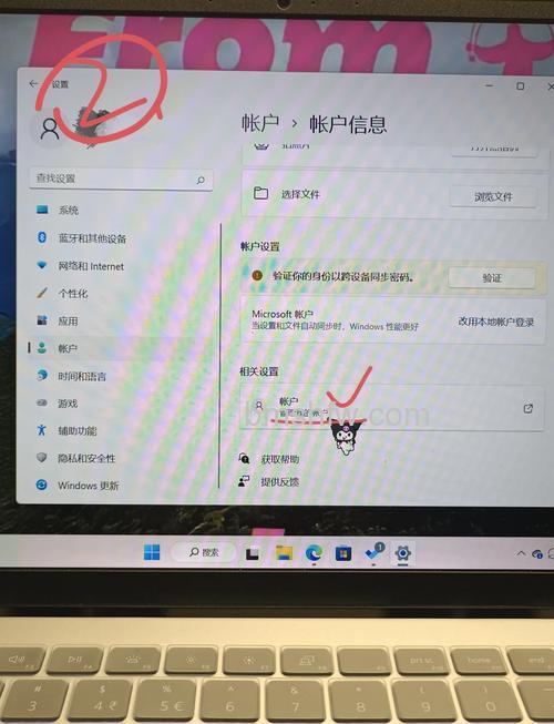 windows11用户名怎么改名字 windows11用户名改名字教程分享【详解】