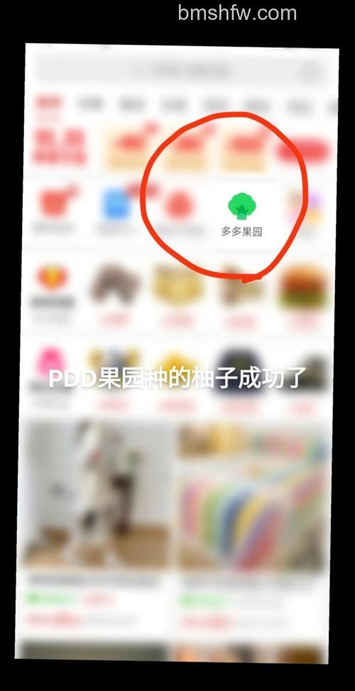 拼多多果园怎么防止偷水 拼多多果园防止偷水的具体步骤【详解】