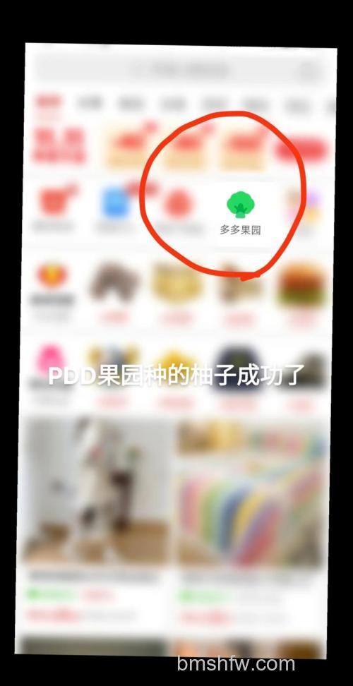 拼多多果园怎么换水果 拼多多果园换水果的方法【详解】