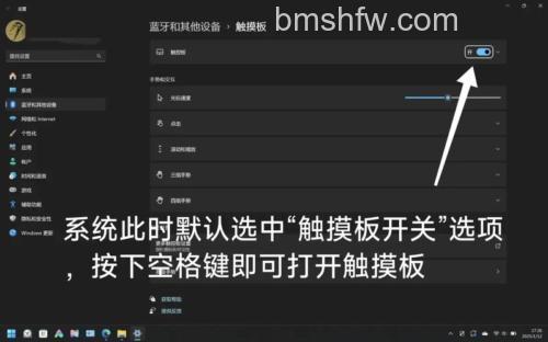 windows11触摸板用不了怎么办 windows11触摸板用不了解决方法【详解】