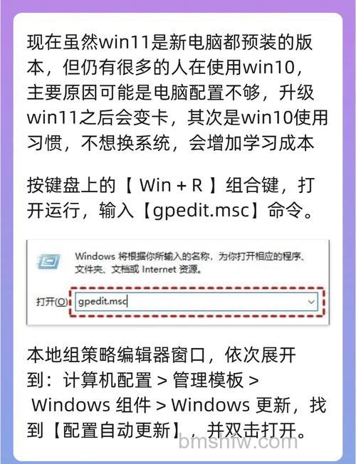 win10家庭版不显示更新win11怎么办 win10家庭版不显示更新win11解决方法【详解】