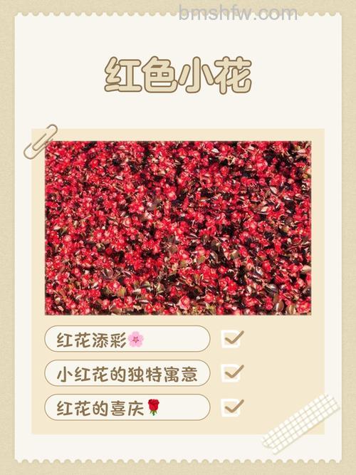 微信小红花怎么用 微信小红花使用方法【详解】