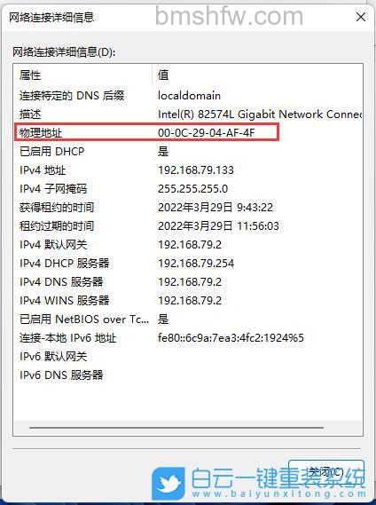 win11mac地址怎么查 win11mac地址查看方法【详解】