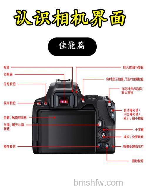 佳能450D说明书:取景器、菜单按键与自动对焦步骤图解