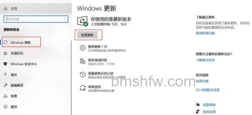 ThinkPad的VISTA系统如何手动更新系统?详细步骤汇总