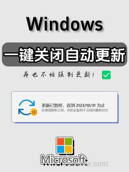 ThinkPad的VISTA系统自动更新的作用是什么？