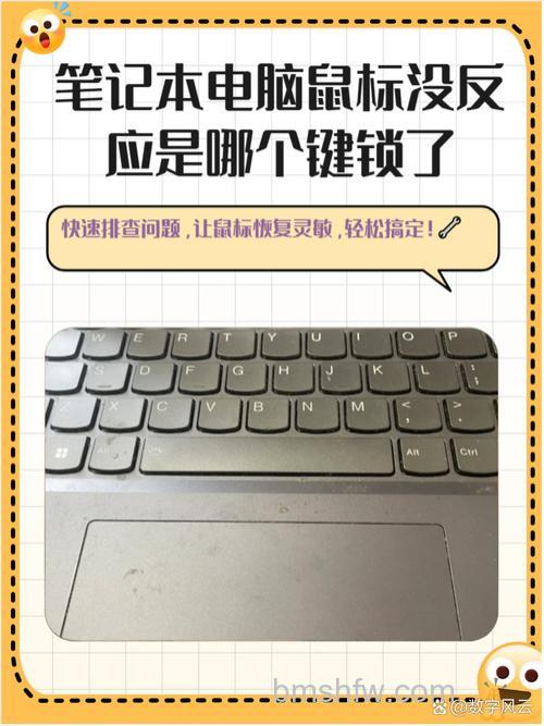 鼠标连接电脑没反应?驱动更新、电源管理设置与接口更换全指南