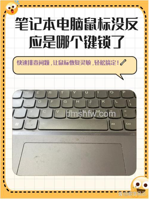 鼠标键盘没反应怎么办?多种解决方法一览
