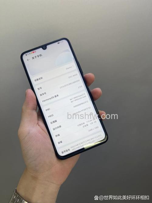 奔腾G620支持Quick Sync Video吗?功能解析