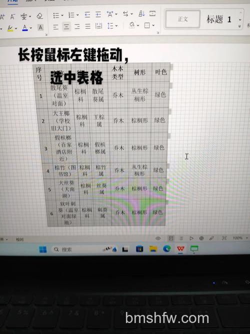 怎么把一个Word文档中的表格复制到另一个Word中?两种方法详解