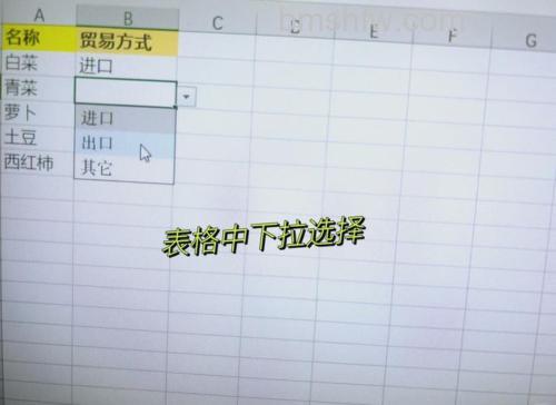 Excel数据验证:轻松设置单元格字符个数限制