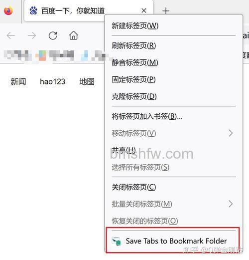 Firefox为什么右键的flashgot选项不能用